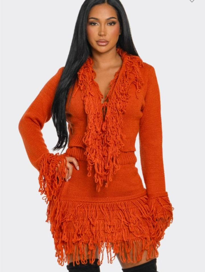 Tasha Fringe Knit Set